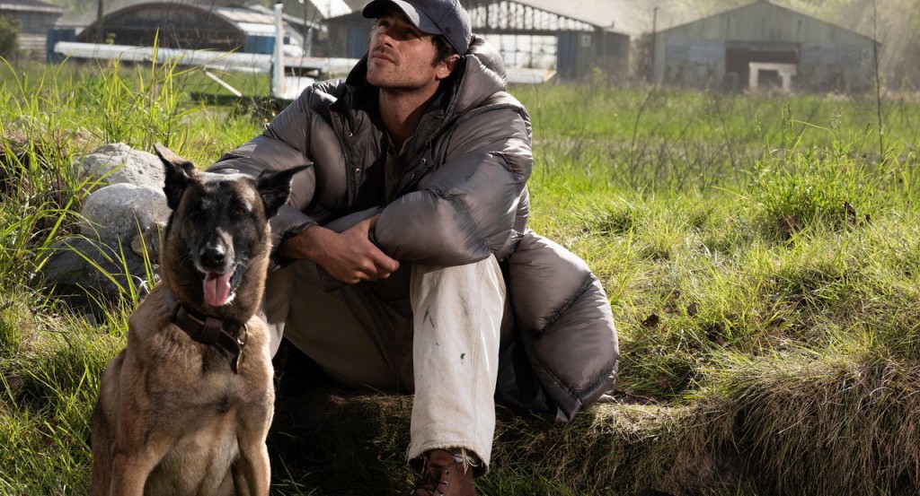 actualité THE DOG STARS
