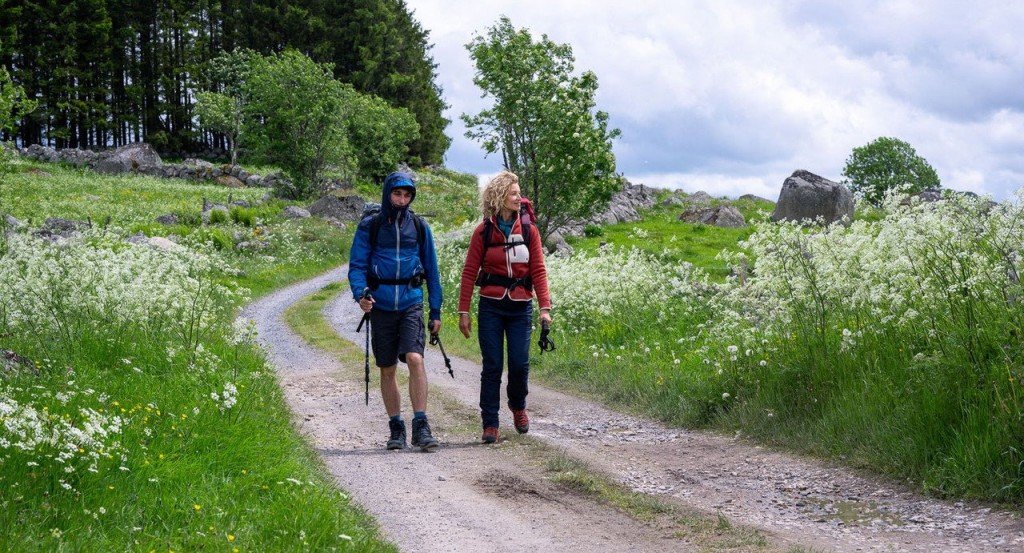 actualité COMPOSTELLE