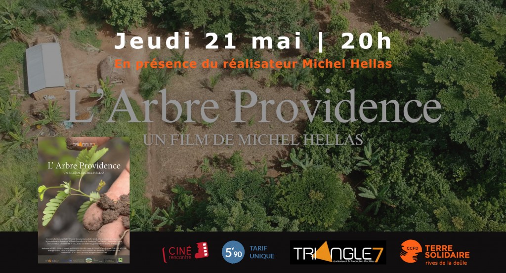 actualité L'ARBRE PROVIDENCE