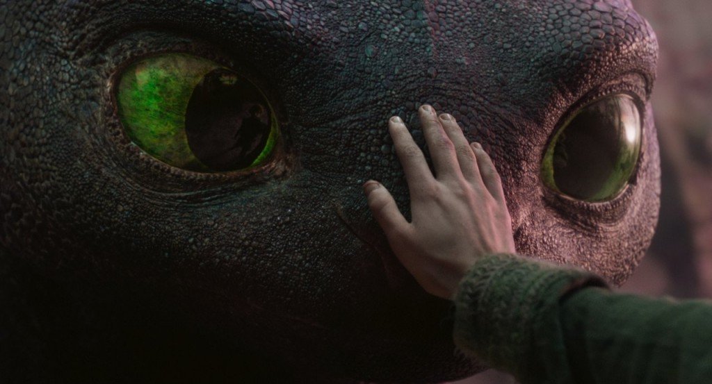 actualité DRAGONS